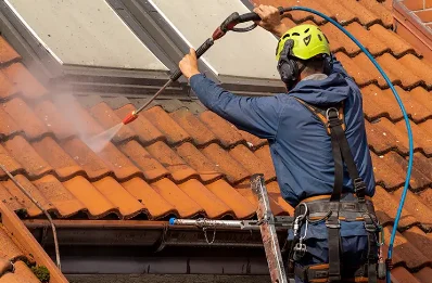 Démoussage et hydrofuge de toiture à Panissières